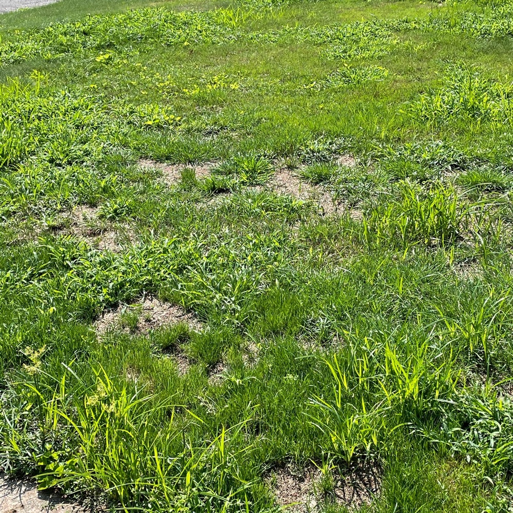 Meet your Posher, Windy